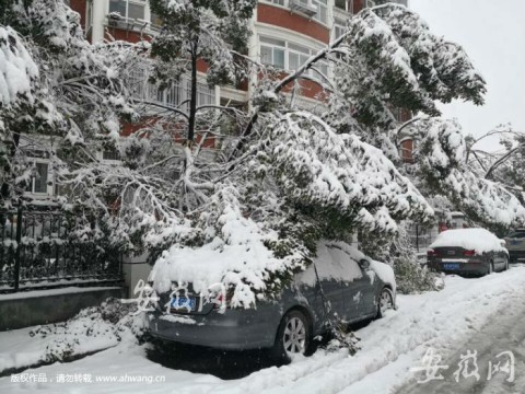 天降大雪萬物寒,瑞聯(lián)保溫暖人心
